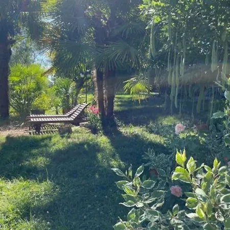 Petit Paradis Au Bord Du Rhone