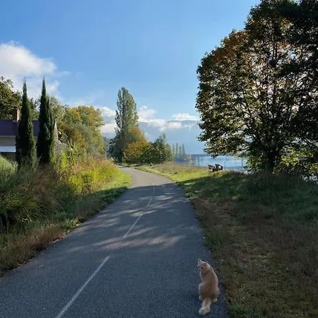 Petit Paradis Au Bord Du Rhone * Izieu