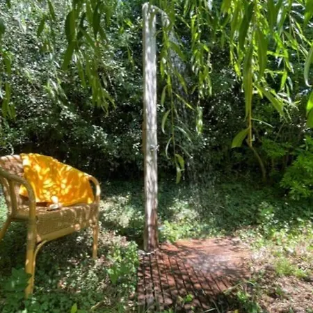 펜션 Petit Paradis Au Bord Du Rhone *